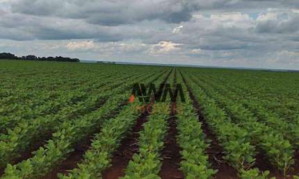 Fazenda à venda, 24829200 m² por R$ 61.560.000,00 - Zona Rural - Pedro Afonso/TO