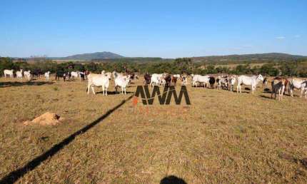 Fazenda à venda, 2129600 m² por R$ 5.000.000,00 - Zona Rural - Uruana/GO