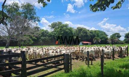 Fazenda à venda, 5234944 m² por R$ 8.652.800,00 - Zona Rural - Cocalinho/MT