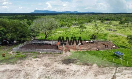 Fazenda à venda, 41220000 m² por R$ 28.000.000,00 - Zona Rural - Conceição do Tocantins/TO