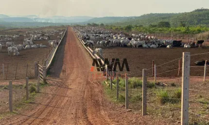 Fazenda à venda, 30000000 m² por r$ 71.300.000,00 - zona rural - pindorama do tocantins/to