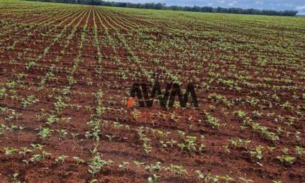 Fazenda à venda, 100000000 m² por R$ 400.000.000,00 - Setor Central - Pedro Afonso/TO