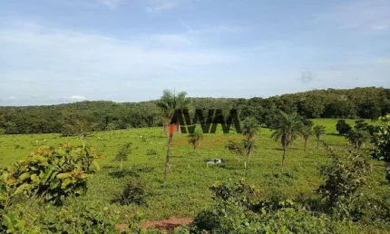 Fazenda à venda, 51691200 m² por r$ 37.080.000,00 - centro - miracema/to