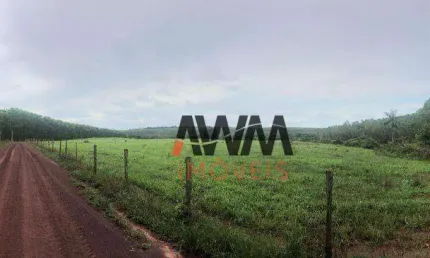 Fazenda à venda, 871200 Ha  por R$ 170.000.000 - Setor Central - Araguaína/TO