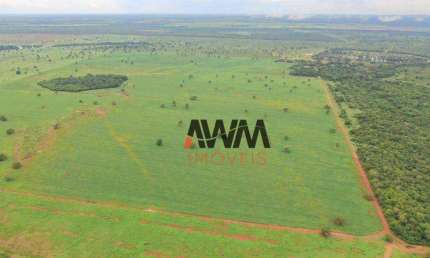 Fazenda à venda, 5227 HA por R$ 150.000.000 - Javaés - Lagoa da  Confusão/TO