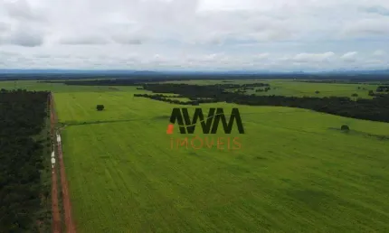 Fazenda à venda, 48400 Hectares por R$ 120.000.000 - Centro - Formosa/GO