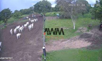 Fazenda à venda, 847.00 Hectares por R$ 8.000.000 - Zona Rural - Cocalinho/MT