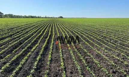 Fazenda à venda, 15.000 ha  por r$ 1.500.000.000 -  são josé do xingu/mt