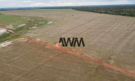Fazenda à venda, 3.000,80 Hectares por R$ 92.000.000 - Setor Central - Araguaína/TO