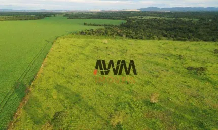 Fazenda à venda, 242,00 hectares por r$ 9.000.000 - zona rural - alto horizonte/go