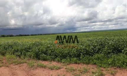 Fazenda à venda, 47730000 m² por R$ 300.000.000,00 - Centro - Nova Xavantina/MT