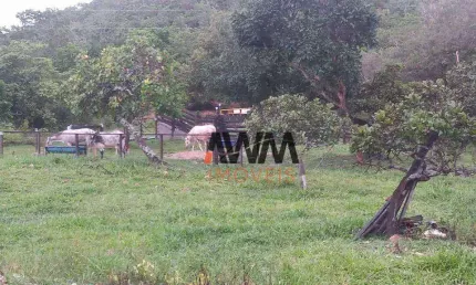 Fazenda à venda, 77.44 hectares por R$ 3.200.000 - Centro - Goiás/GO