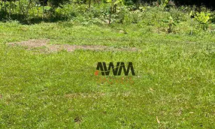 Fazenda à venda, 1.150  Hectarespor R$ 8.000.000 - Zona Rural - Natividade/TO
