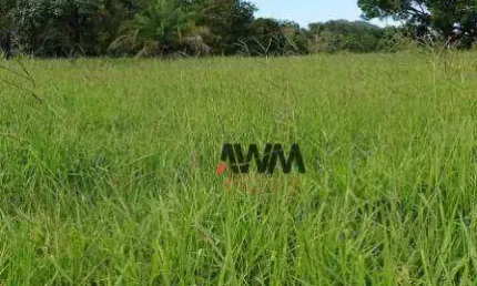 Fazenda à venda, 2444000 m² por r$ 13.000.000,00 - zona rural - novo brasil/go