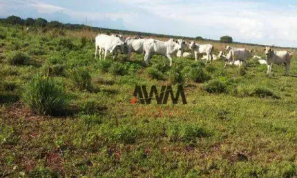 Fazenda à venda, 79279200 m² por r$ 200.000.000,00 - zona rural - duerê/to