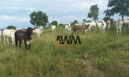 Fazenda à venda, 2032800 m² por r$ 5.880.000,00 - zona rural - faina/go