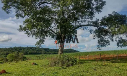Fazenda à venda, 871200 m² por R$ 5.400.000,00 - Vila Olinda - Anicuns/GO