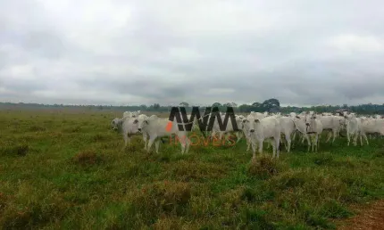 Fazenda à venda, 21000 m² por R$ 450.000.000,00 - Novo Diamantino - Diamantino/MT