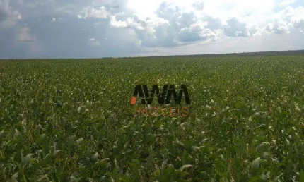 Fazenda à venda, 48450000 m² por R$ 122.000.000,00 - Fazenda - Paranatinga/MT