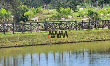 Fazenda à venda, 11906400 m² por R$ 55.000.000,00 - Centro - Pirenópolis/GO
