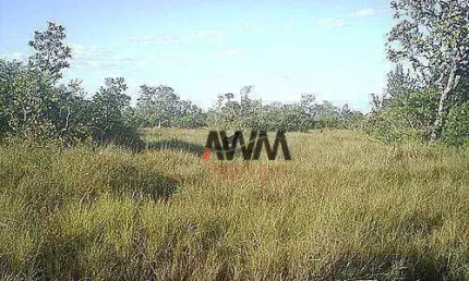 Fazenda à venda, 72600000 m² por r$ 30.000.000,00 - zona rural - alto boa vista/mt