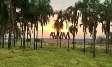 Fazenda à venda, 803924 m² por R$ 7.500.000,00 - Zona Rural - Trindade/GO