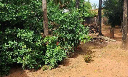 Área à venda, 2635 m² por r$ 2.200.000,00 - setor central - são luís de montes belos/go