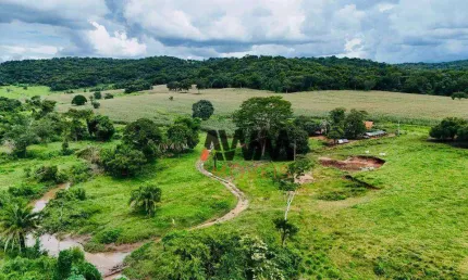 Fazenda à venda, 968000 m² por R$ 7.000.000,00 - Zona Rural  - Pontalina/GO