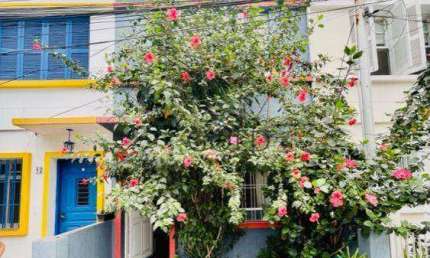 Charme e aconchego Casa de vila com 3 dormitórios à venda - Itaim Bibi / Vila Olimpia- São Paulo/SP