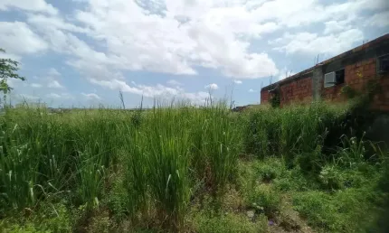 Terreno Urbano para Venda em Salvador, Águas Claras