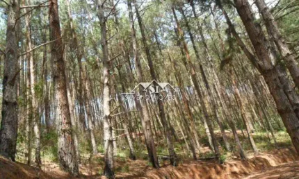 Terreno à venda no Araras, Petrópolis 