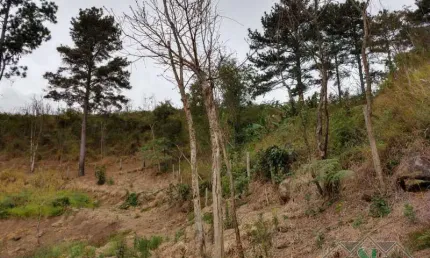 Terreno em condomínio fechado à venda em Itaipava, Petrópolis 