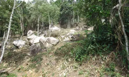 Terreno em condomínio fechado à venda no Samambaia, Petrópolis 