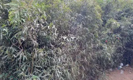 Terreno à venda no Caxambu, Petrópolis 