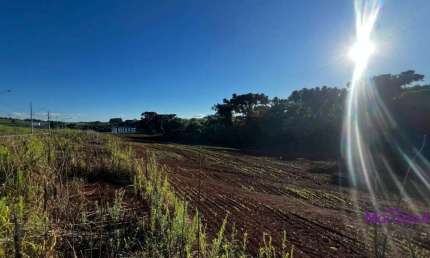 Terreno à venda na Evandro Cagol, Fraron, Pato Branco