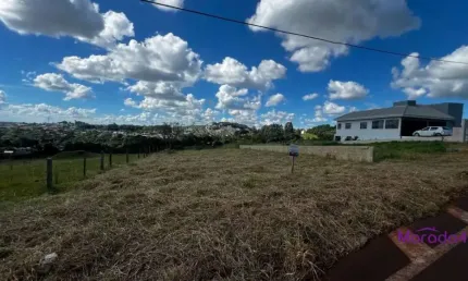 Terreno à venda na Sady Pedro Viganó, Industrial, Pato Branco