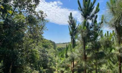 Fazenda à venda no Indaiatuba/Matão, Buri , 306324 m2 por R$ 3.000.000