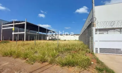 Terreno para alugar, Alto Umuarama - Uberlândia/MG - Rotina Imobiliária