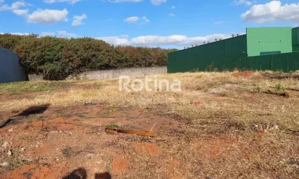 Terreno para alugar, Aclimação - Uberlândia/MG - Rotina Imobiliária