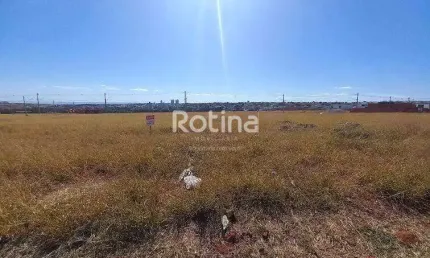 Terreno para alugar, Alto Umuarama - Uberlândia/MG - Rotina Imobiliária