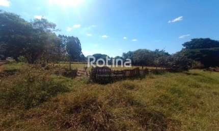 Área para alugar, Morada dos Pássaros - Uberlândia/MG - Rotina Imobiliária