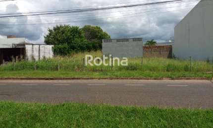 Área para alugar, Jardim Botânico - Uberlândia/MG - Rotina Imobiliária