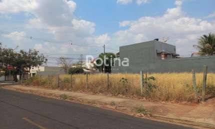 Terreno para alugar, Jardim das Palmeiras - Uberlândia/MG - Rotina Imobiliária