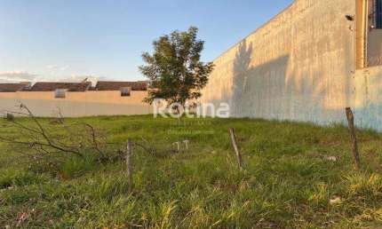 Terreno para alugar, Alto Umuarama - Uberlândia/MG - Rotina Imobiliária