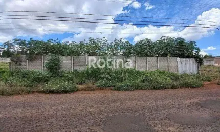 Terreno para alugar, Cidade Jardim - Uberlândia/MG - Rotina Imobiliária