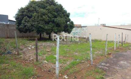 Terreno para alugar, Pampulha - Uberlândia/MG - Rotina Imobiliária