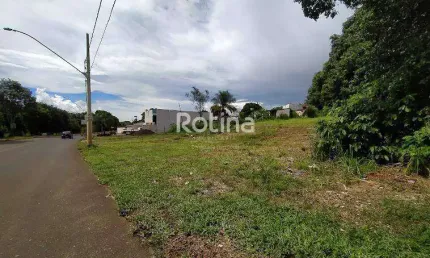 Área para alugar, Daniel Fonseca - Uberlândia/MG - Rotina Imobiliária