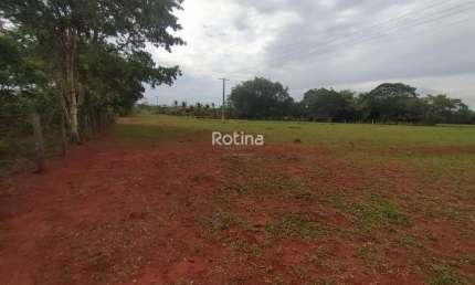Área para alugar, Zona Rural - Uberlândia/MG - Rotina Imobiliária