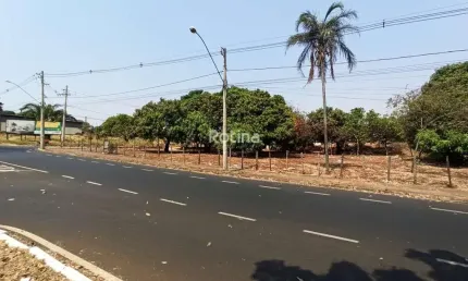 Terreno para alugar, Jardim Patrícia - Uberlândia/MG - Rotina Imobiliária