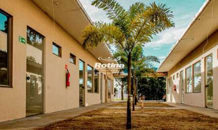 Loja para alugar, Jardim Europa - Uberlândia/MG - Rotina Imobiliária